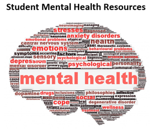mental health resources 